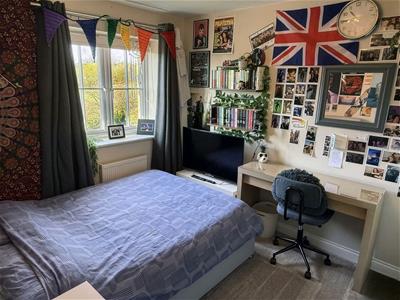 Picture 22